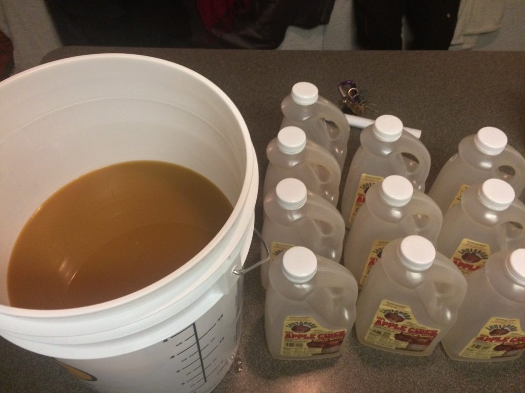 Adding apple cider to brewing bucket