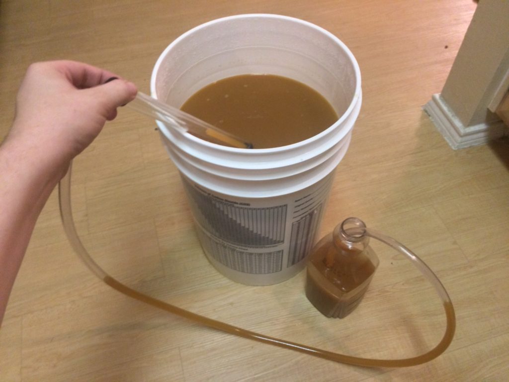 Syphoning out the fermented cider